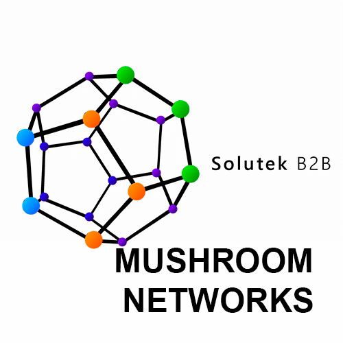 reparación de routers Mushroom Networks